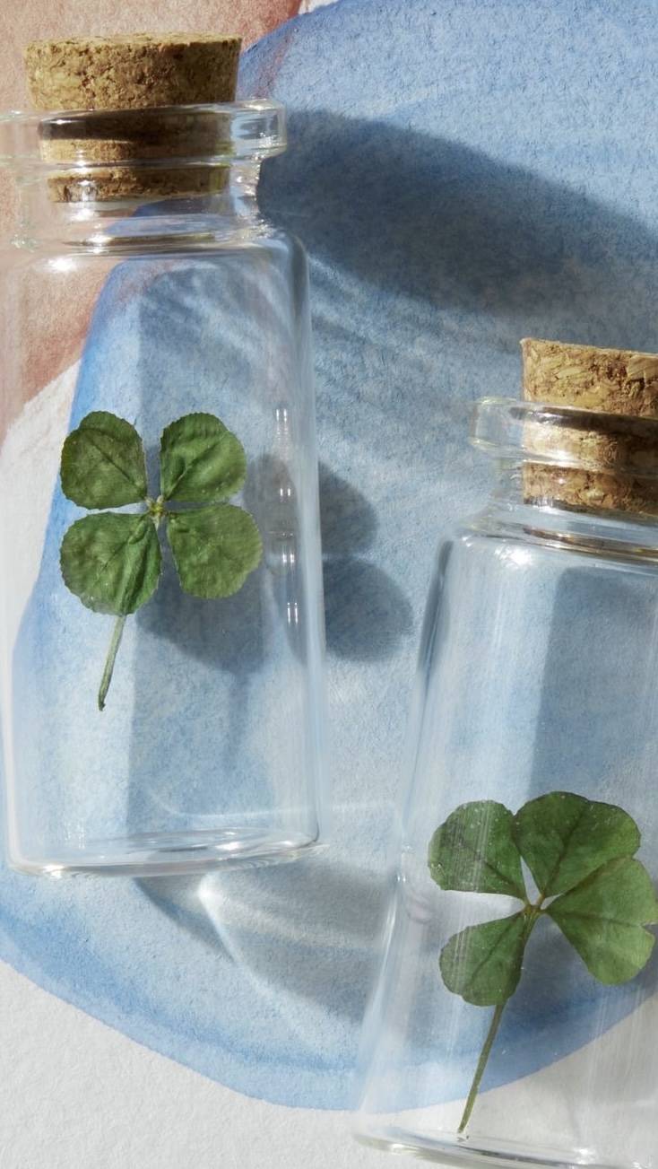 행운 가득한 매일이 되기를 🍀 네잎클로버 배경화면 모음 | 인스티즈