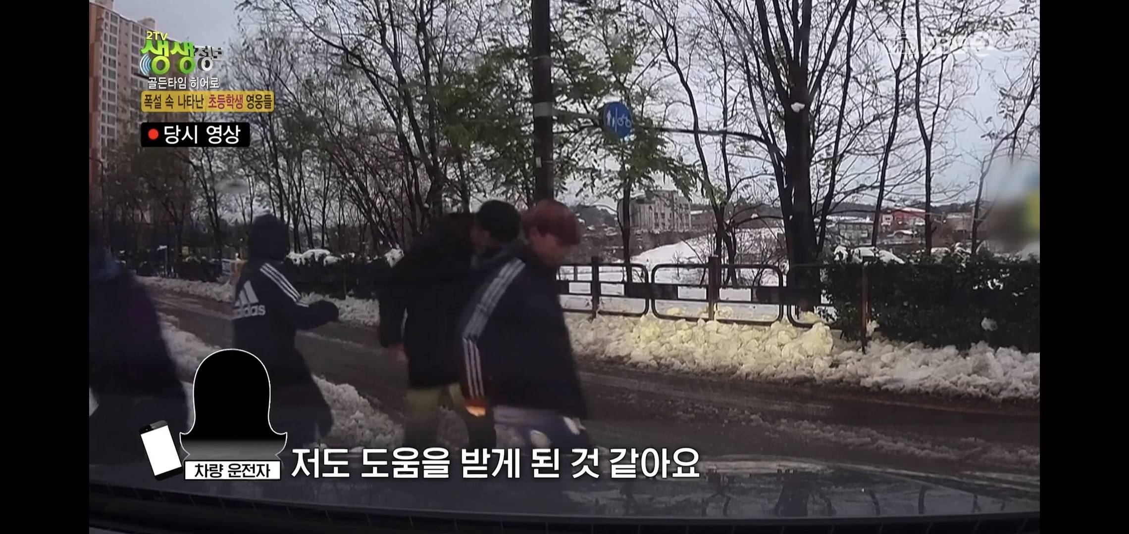방금 생생정보통에 저번 폭설에 이슈였던 여시 나옴.jpg | 인스티즈