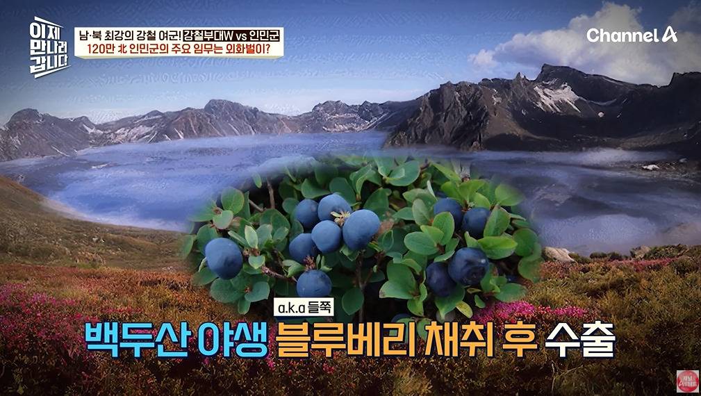 북한 여군이 받는 대우 | 인스티즈