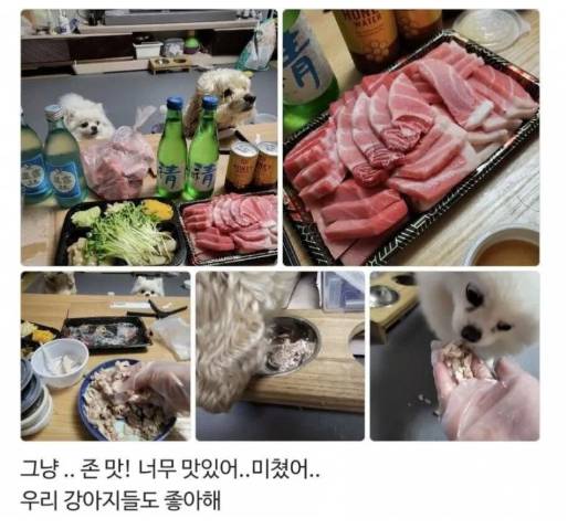 리뷰 개판난 참치집 | 인스티즈