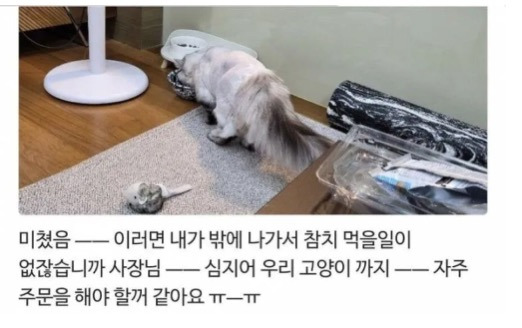 리뷰 개판난 참치집 | 인스티즈