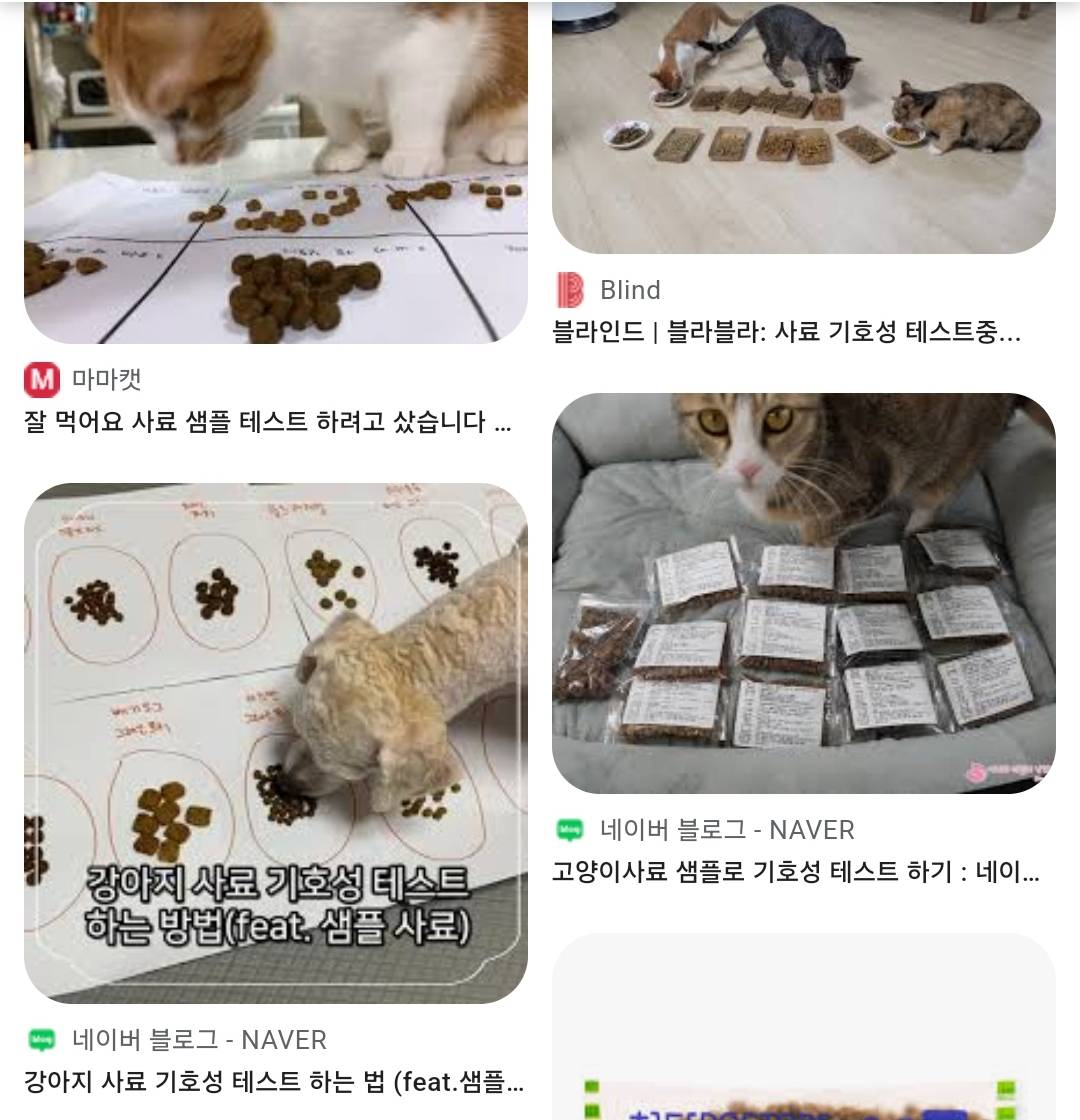 강아지 고양이 키울때 은근 가장 까다롭다는거 | 인스티즈