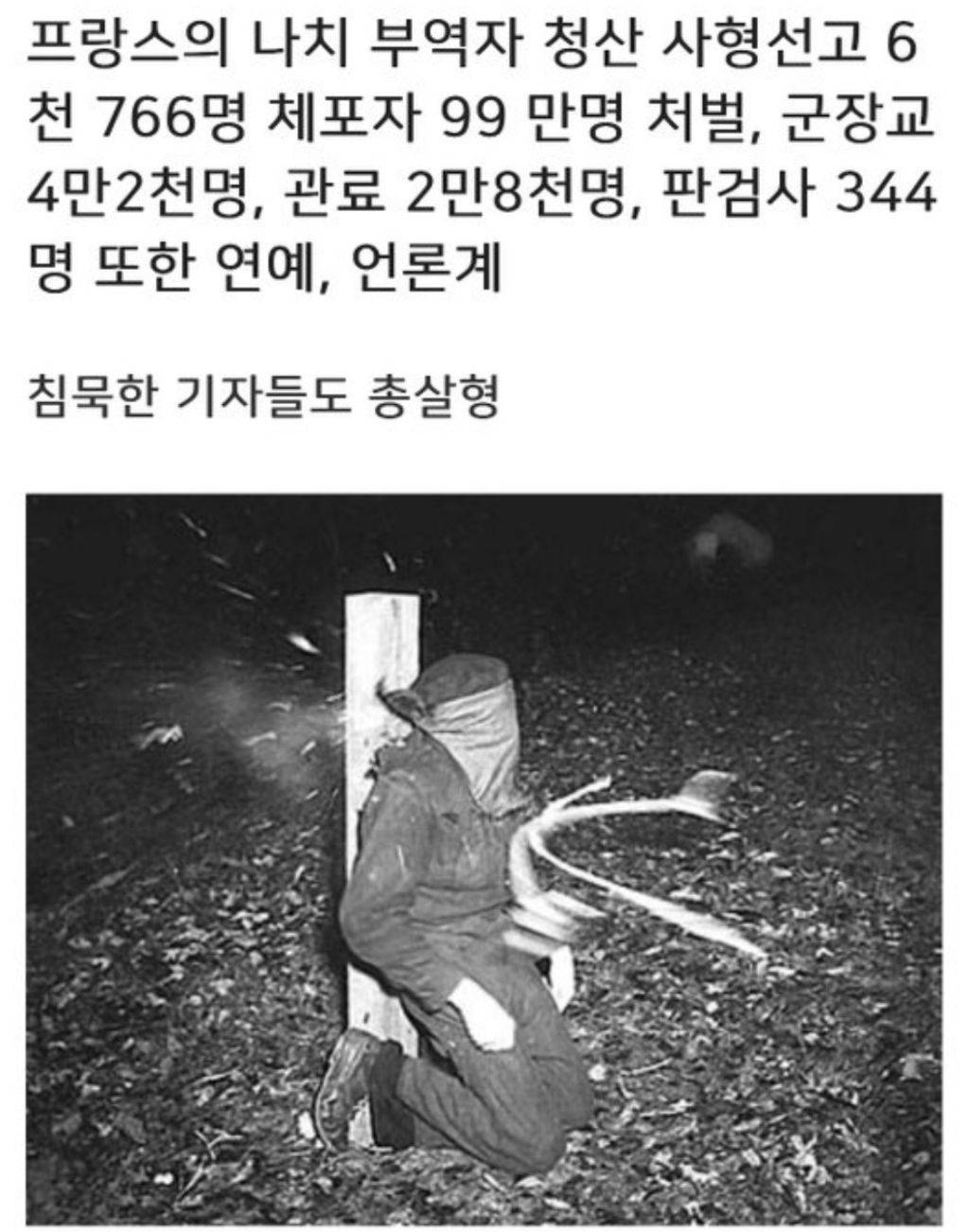 프랑스의 나치 부역자 청산 | 인스티즈
