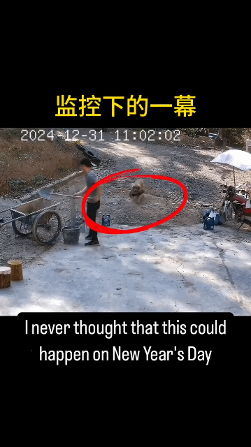 개가 들고온 연말 선물.gif | 인스티즈