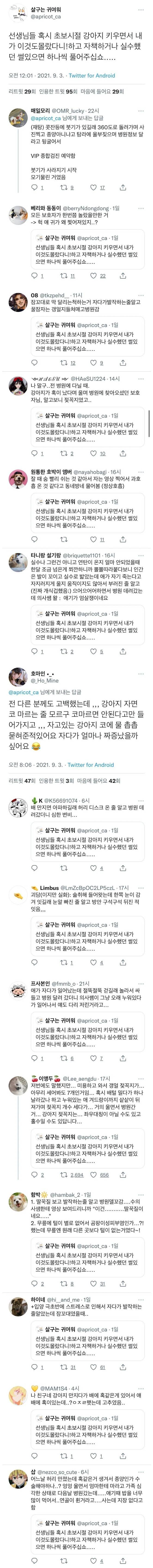 초보 반려인들이 반려동물 처음 키울 때 실수했던 부분들.twt | 인스티즈