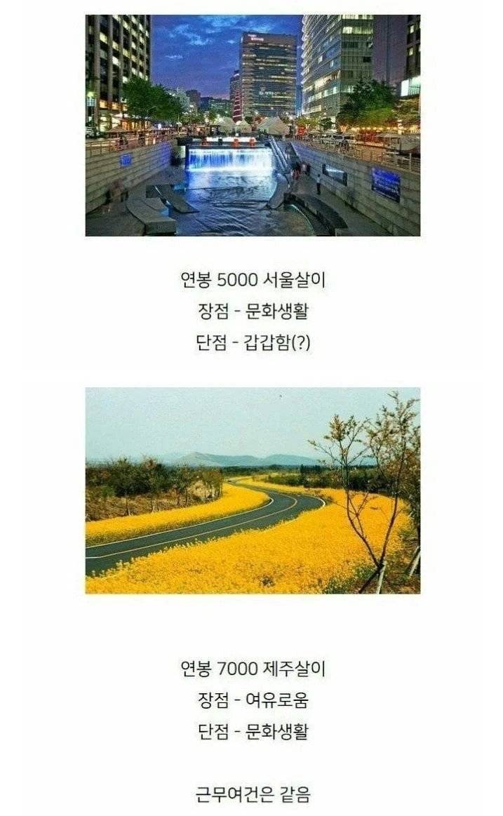 반반 갈린다는 연 5000 서울 vs 연 7000 제주 | 인스티즈