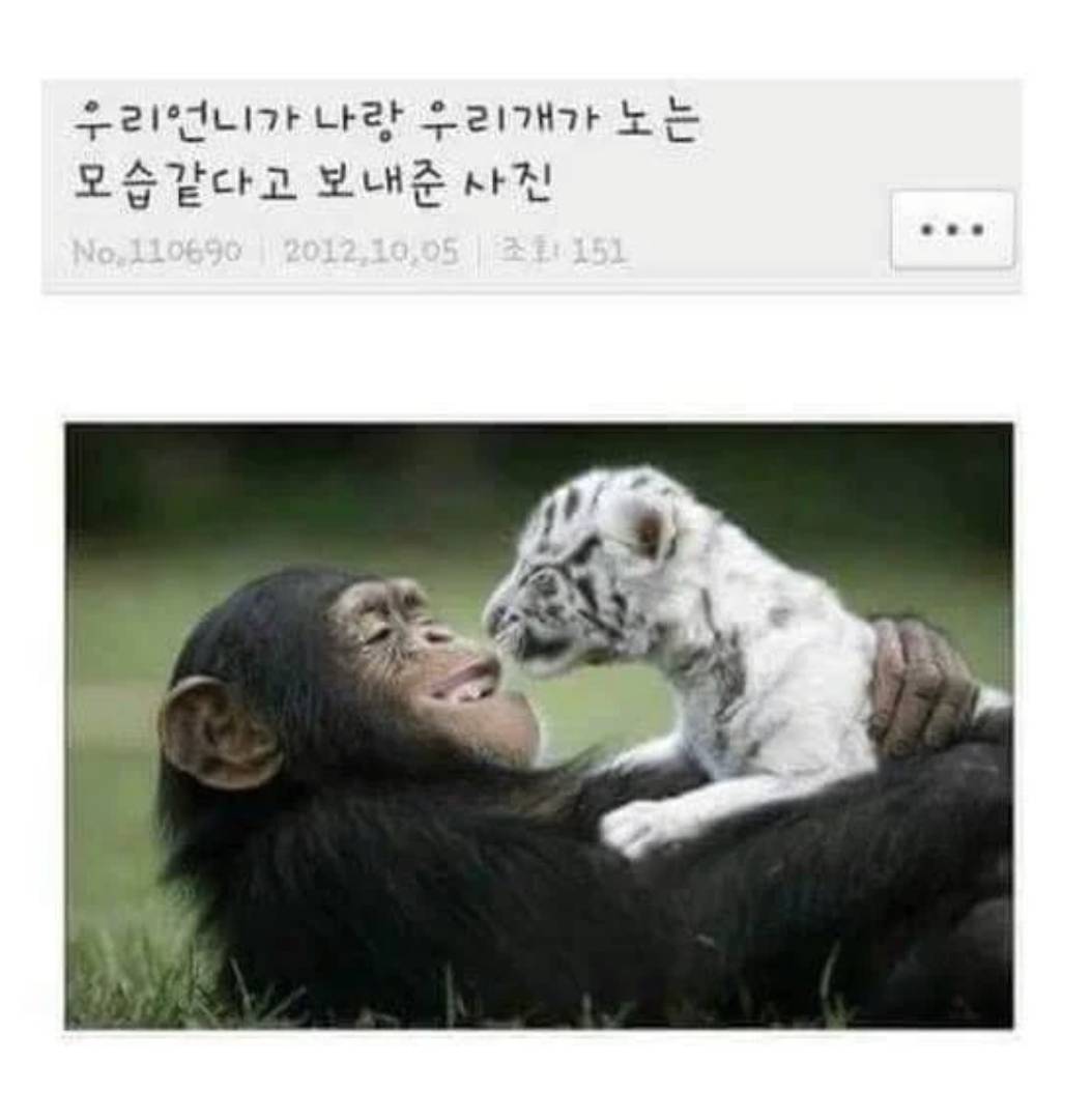 나 입툭튀 교정하려고 사진찍었는데 | 인스티즈