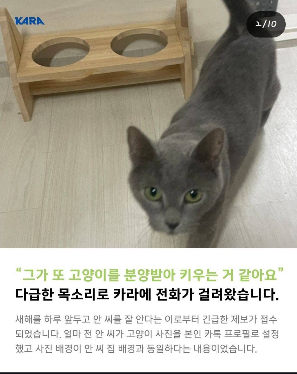 고양이 또 데려온 파주학대범 | 인스티즈