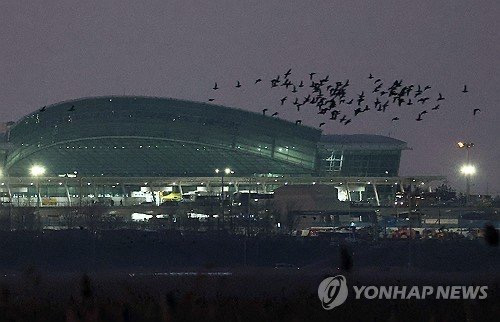 무안공항 7년 조종사 "콘크리트 둔덕 있는지 몰라, 흙더미인줄" | 인스티즈