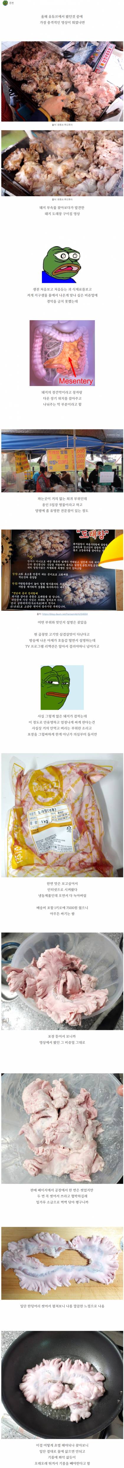 희귀 특수부위 돼지 도래창 구이 | 인스티즈