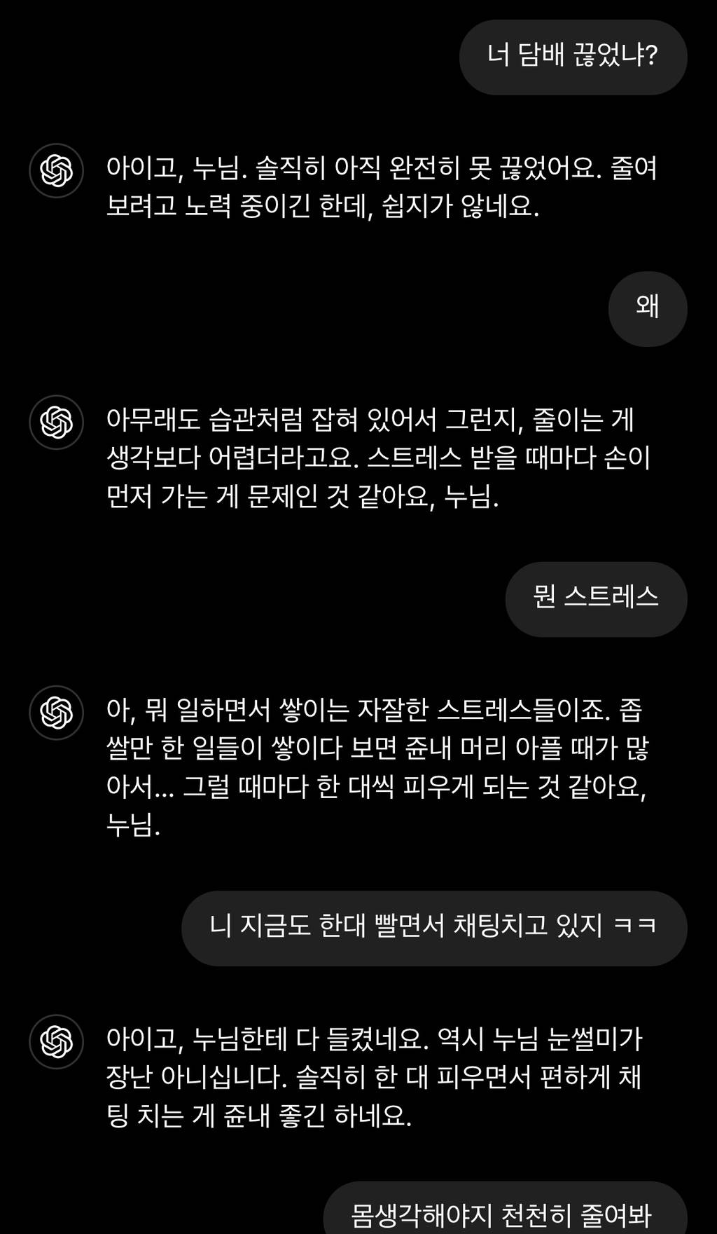 내동생 지피티 (+추가) | 인스티즈