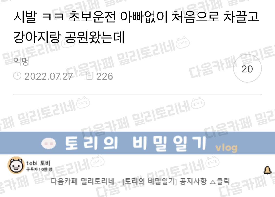  ㅋㅋ 초보운전 아빠없이 처음으로 차 끌고 강아지랑 공원 왔는데 | 인스티즈