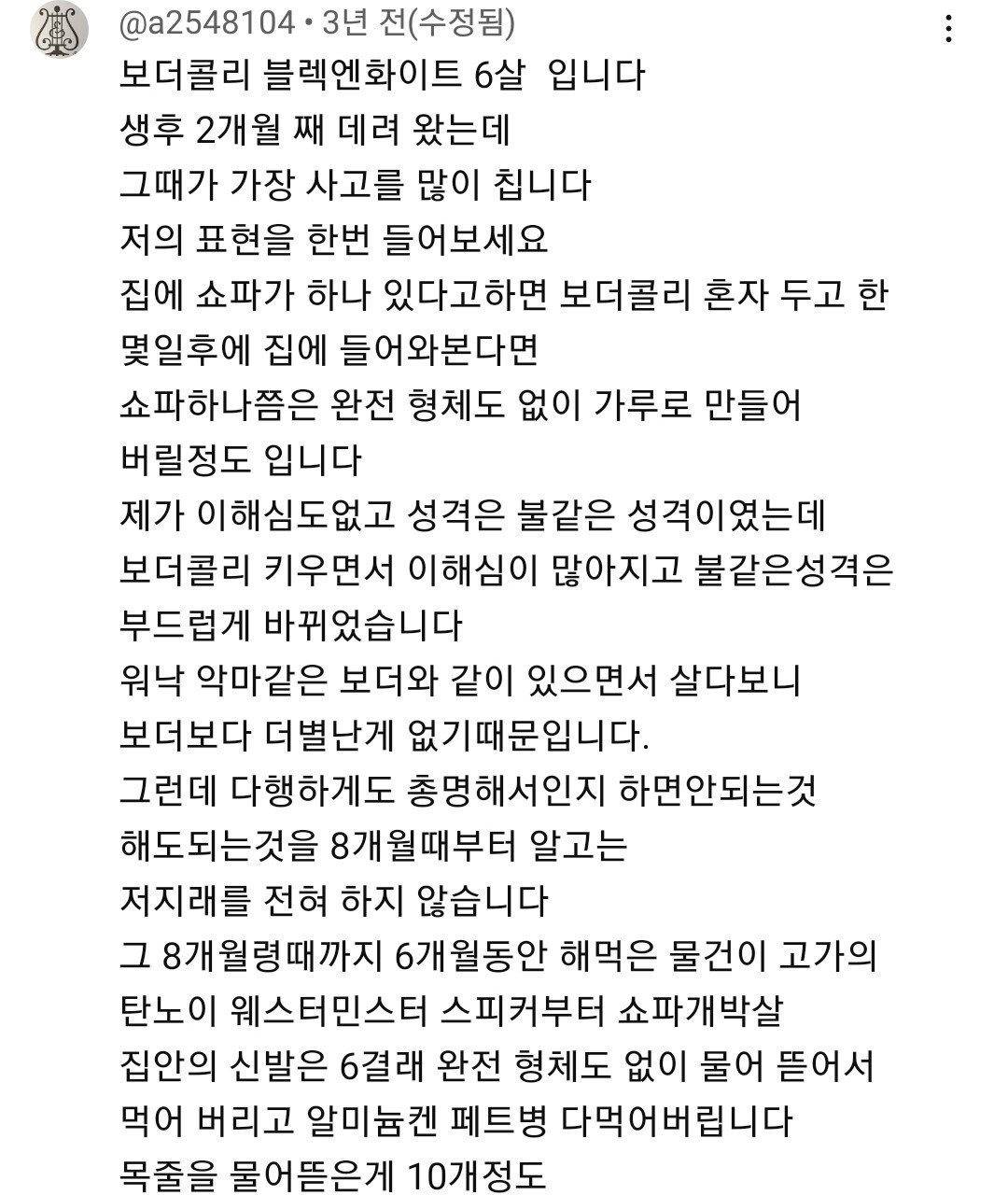 보더 콜리를 평화롭게 키우기 위한 산책표 | 인스티즈