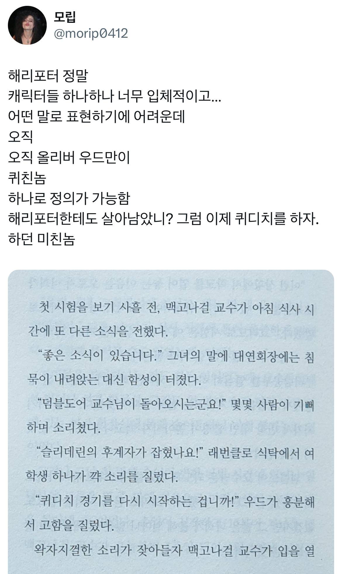 해리포터 캐릭터들 하나하나 너무 입체적이고 어떤 말로 표현하기에 어려운데 오직 올리버 우드만이.twt | 인스티즈