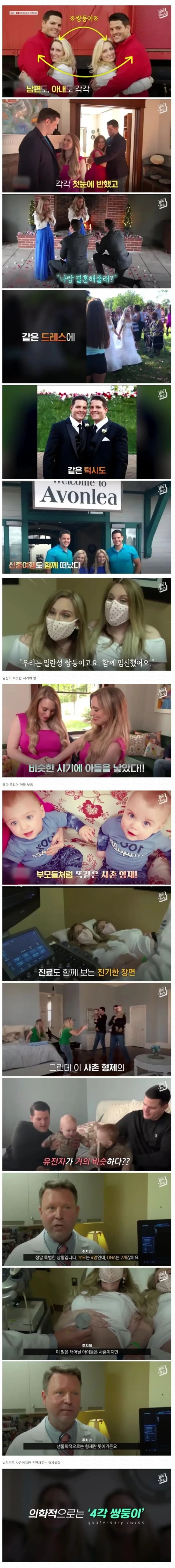 4각 쌍둥이 | 인스티즈