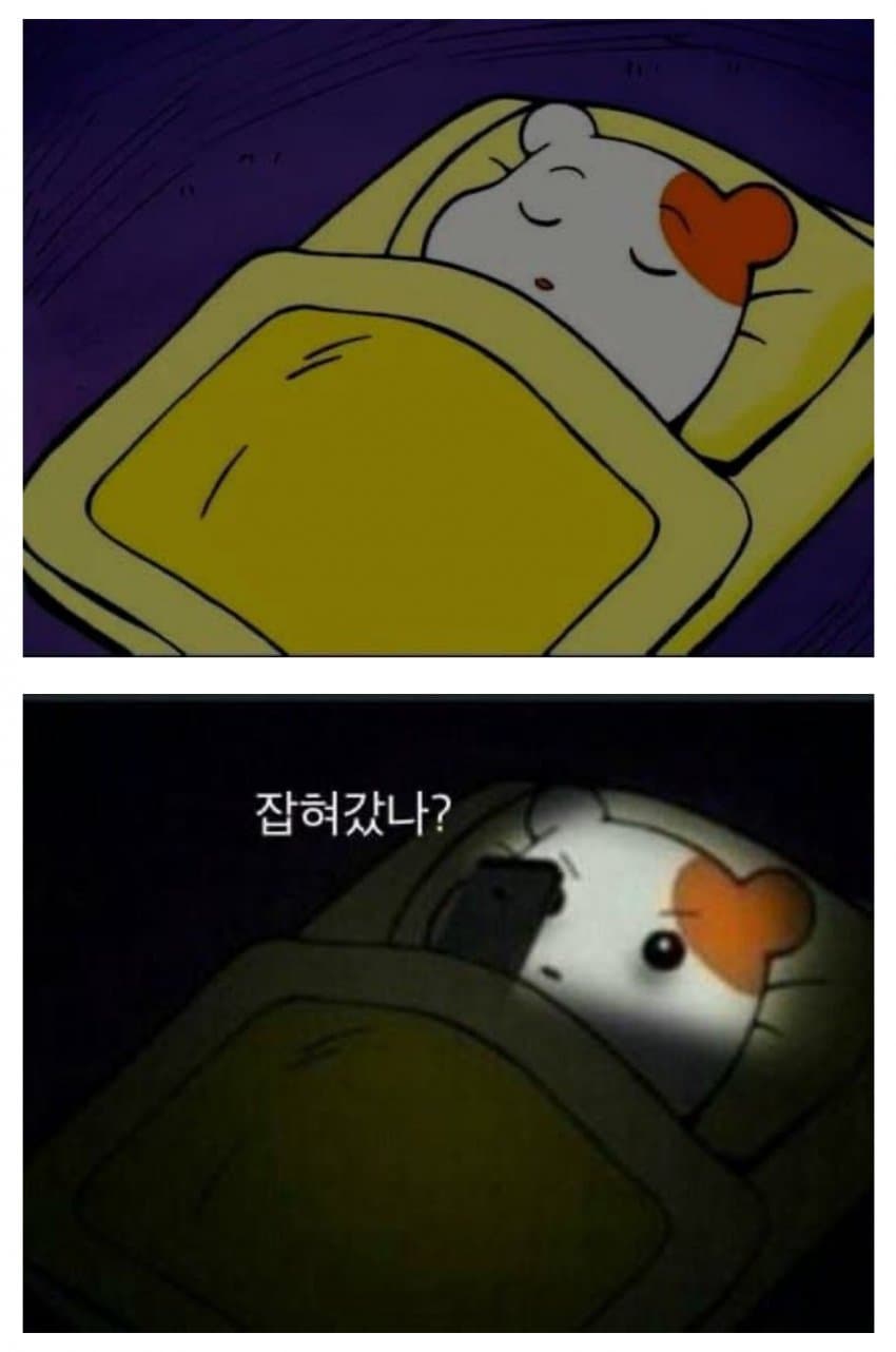 계엄 이후 대다수 사람들.jpg | 인스티즈