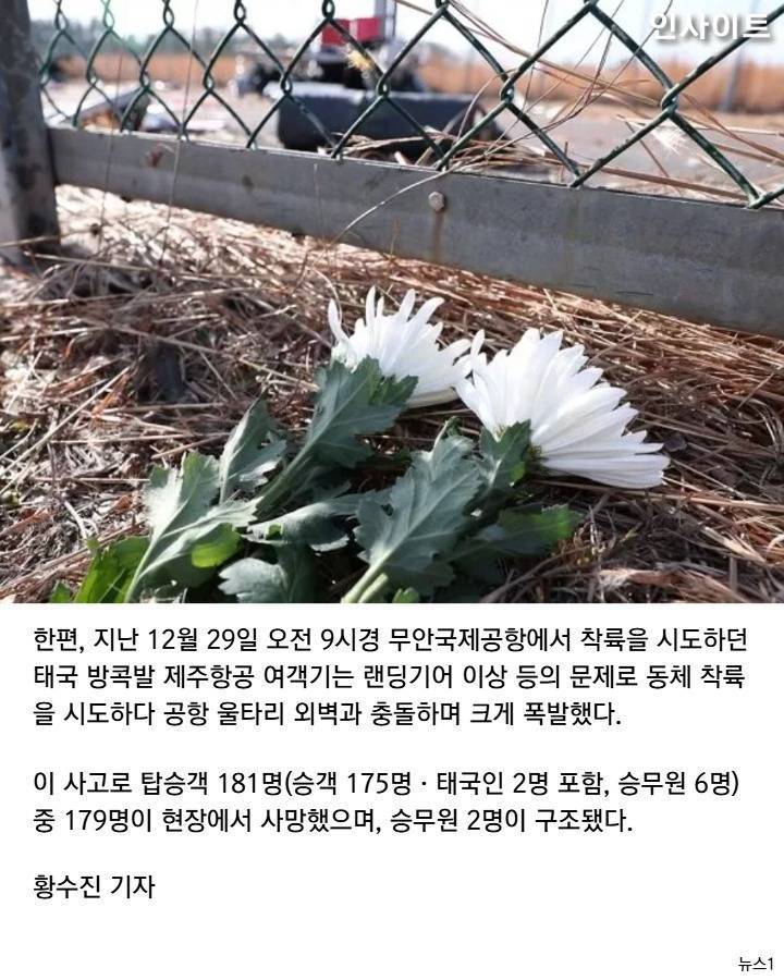 제주항공기 사고 예비신부의 시신이 비교적 온전했던 이유 | 인스티즈