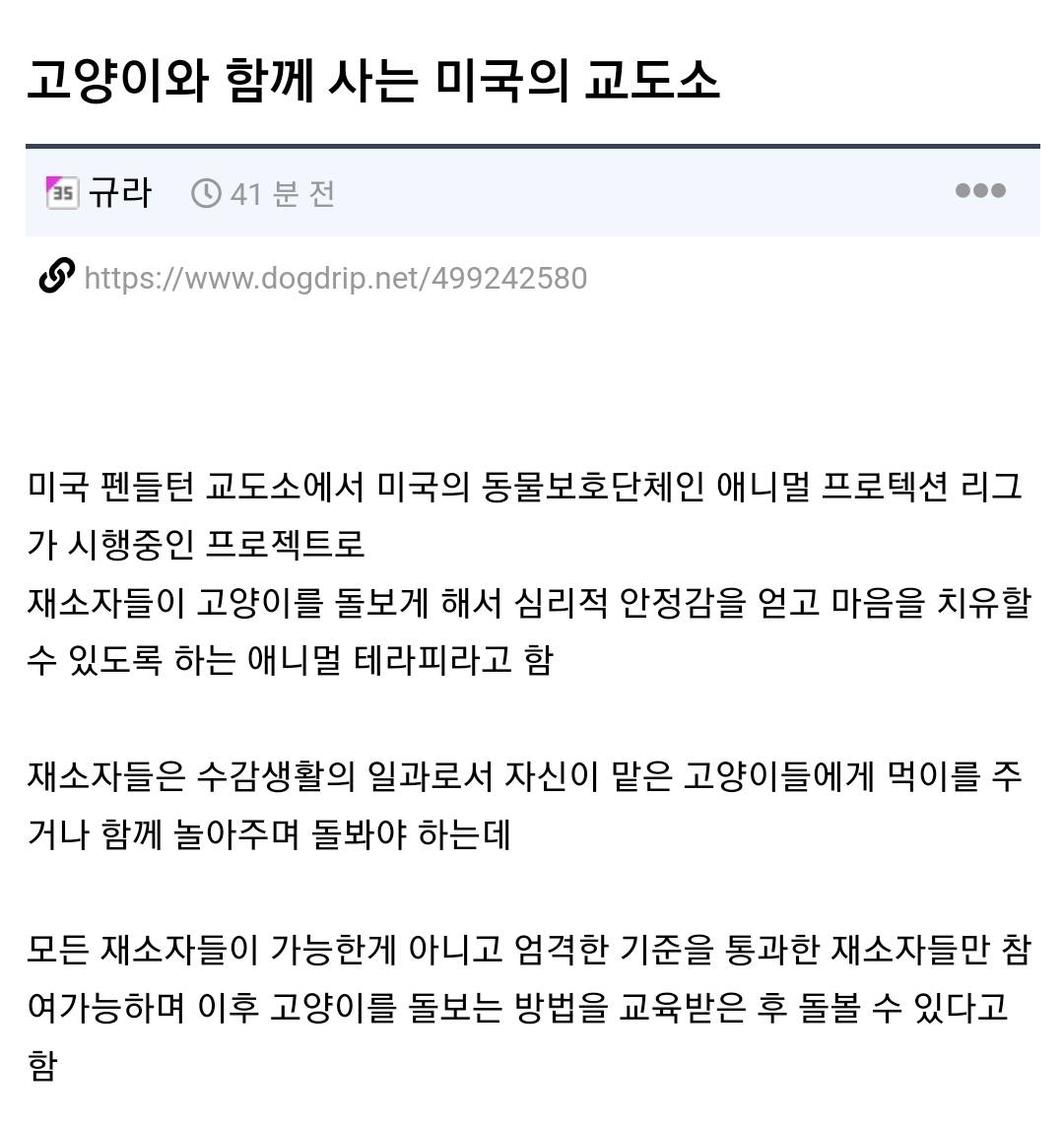 고양이와 함께 사는 미국의 교도소 | 인스티즈