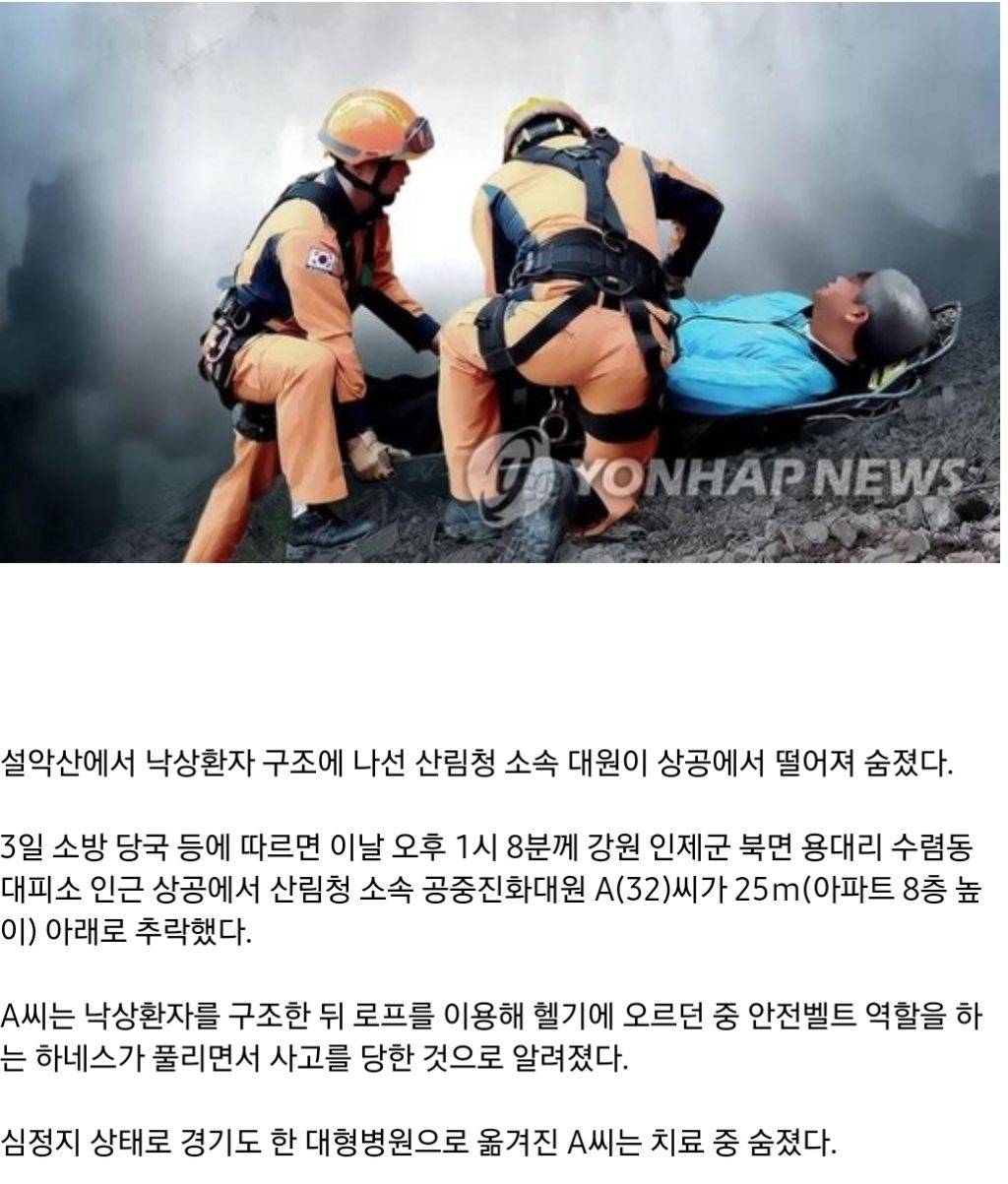 설악산 낙상환자 구조한 산림청 대원…헬기 오르다 추락 사망 | 인스티즈