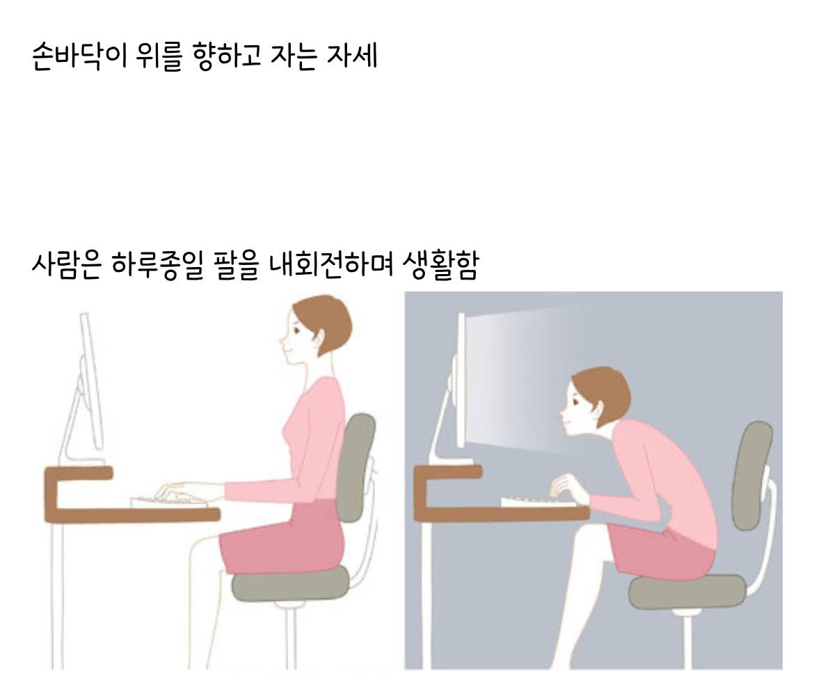 가장 좋은 수면 자세 | 인스티즈