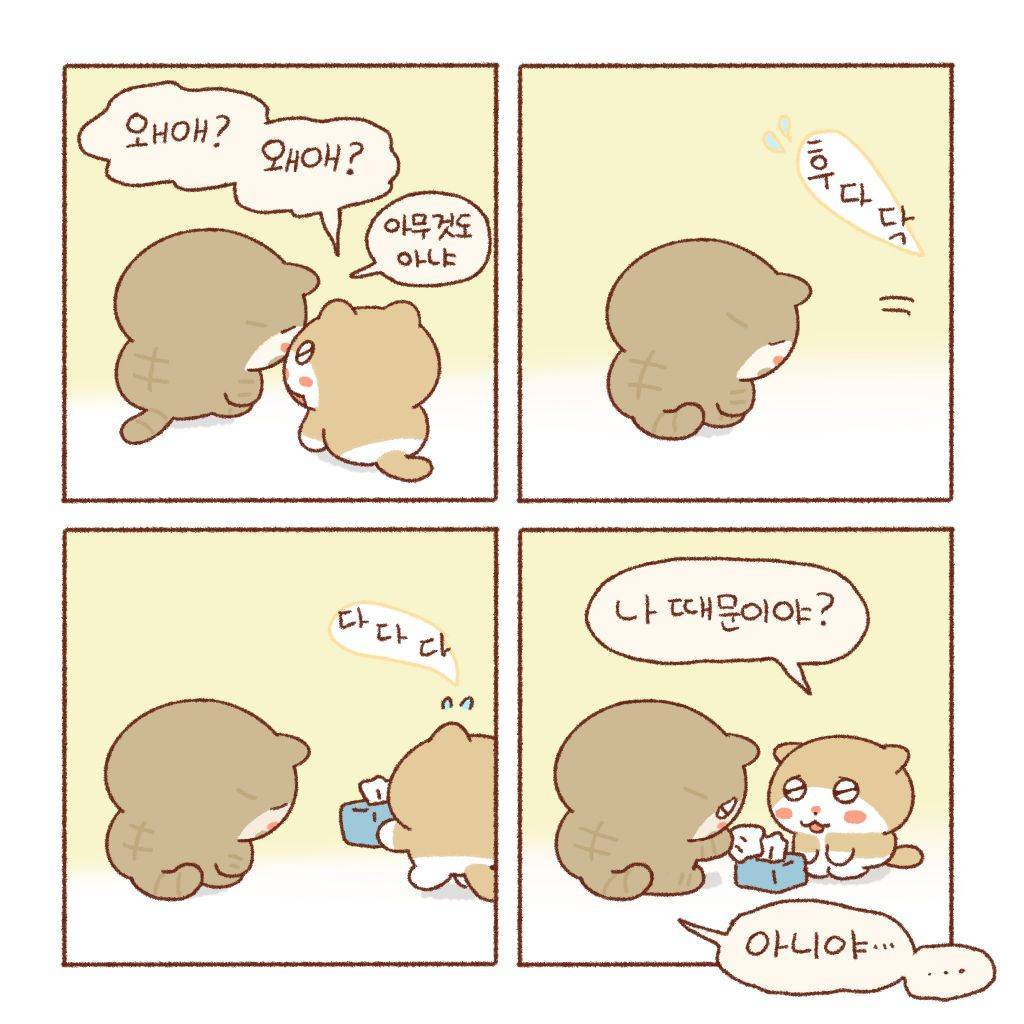(틴틴팅클) 동생의 마음 | 인스티즈