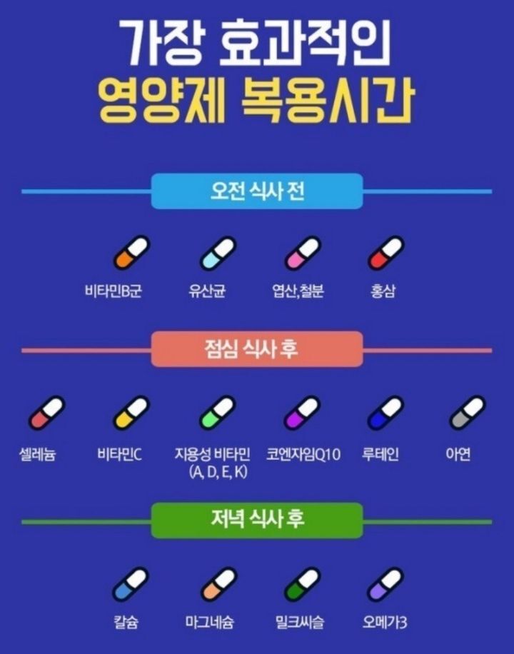 효과적인 영양제 복용시간 | 인스티즈