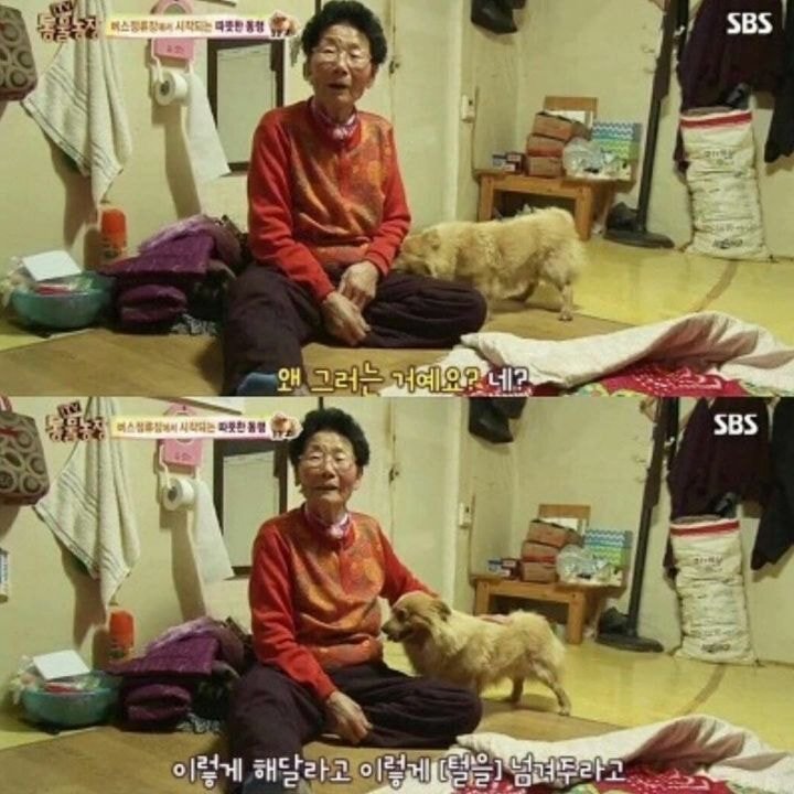 자기를 구해준 할머니가 너무 좋았던 갱얼쥐,,,jpg | 인스티즈
