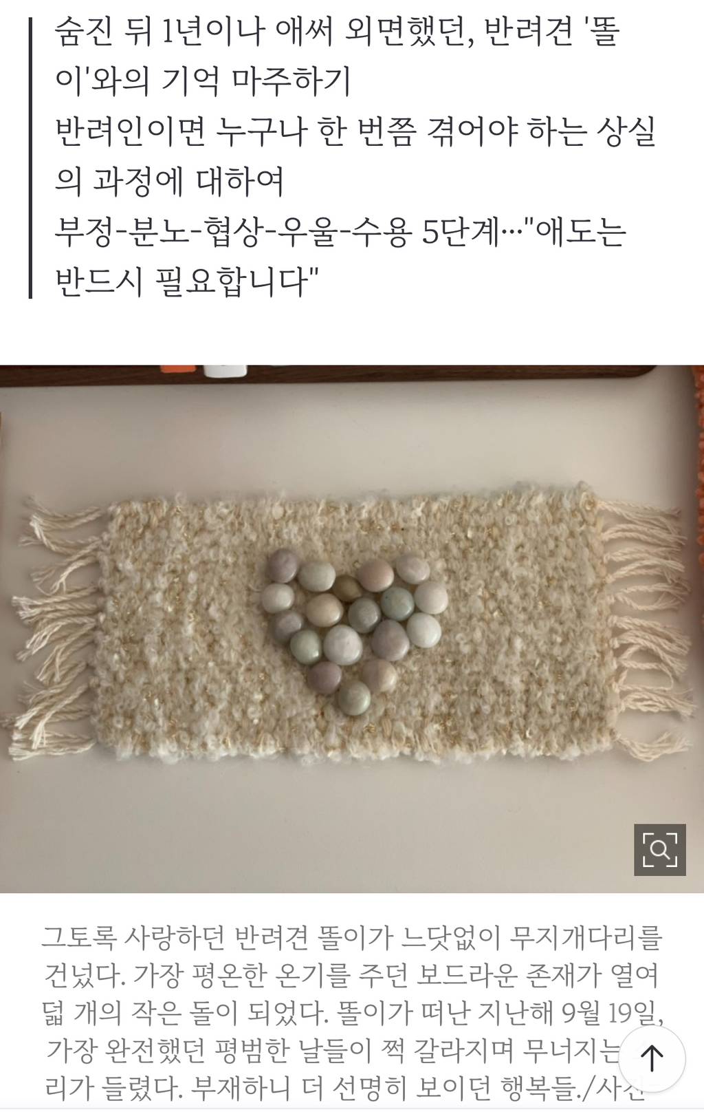 '10살 똘이'의 장례식…태어나 가장 많이 울었다[남기자의 체헐리즘] | 인스티즈