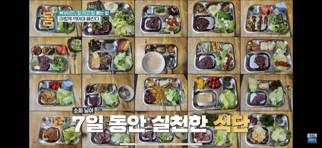 [EBS] 귀하신몸 - 복부비만 잘 먹고 잘 빼는 법 (16일동안 허리둘레 22cm 감소) | 인스티즈