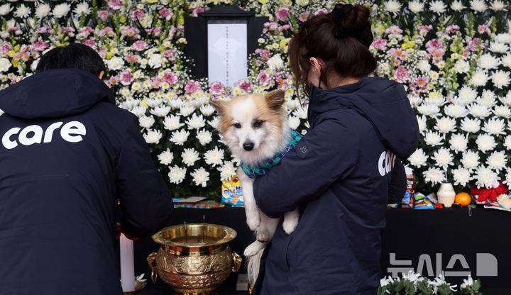 참사로 가족 잃은 '푸딩이'의 조문…물끄러미 위패만 [뉴시스Pic] | 인스티즈