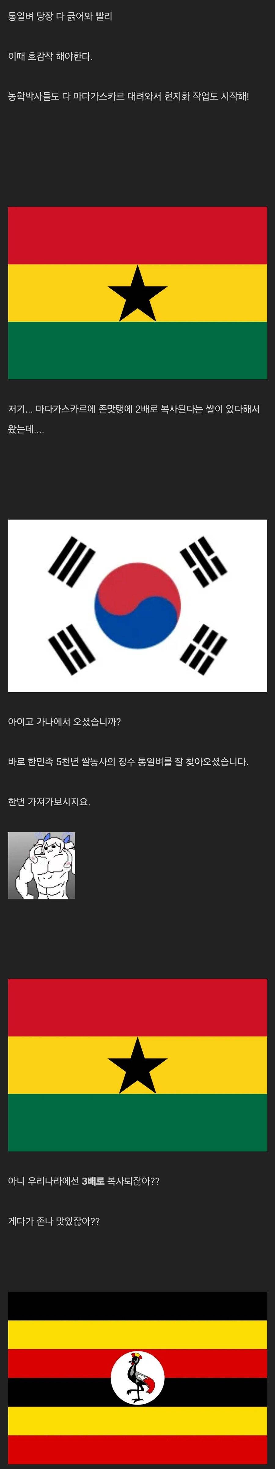 우여곡절 통일벼의 아프리카 정착기 | 인스티즈