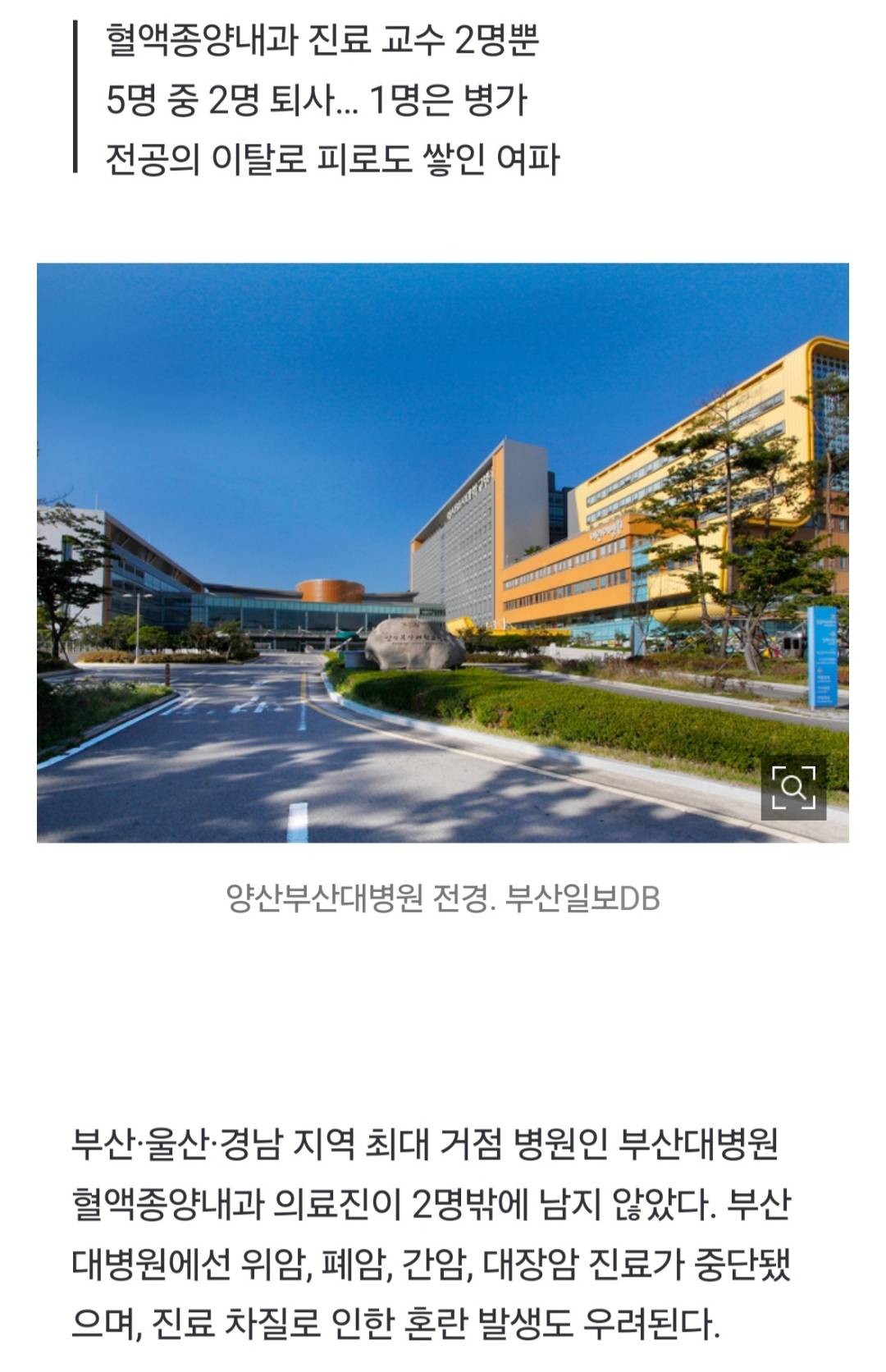 부산대병원, 위암·폐암·간암·대장암 진료 못 한다 | 인스티즈