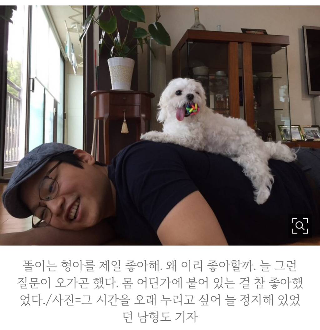 '10살 똘이'의 장례식…태어나 가장 많이 울었다[남기자의 체헐리즘] | 인스티즈