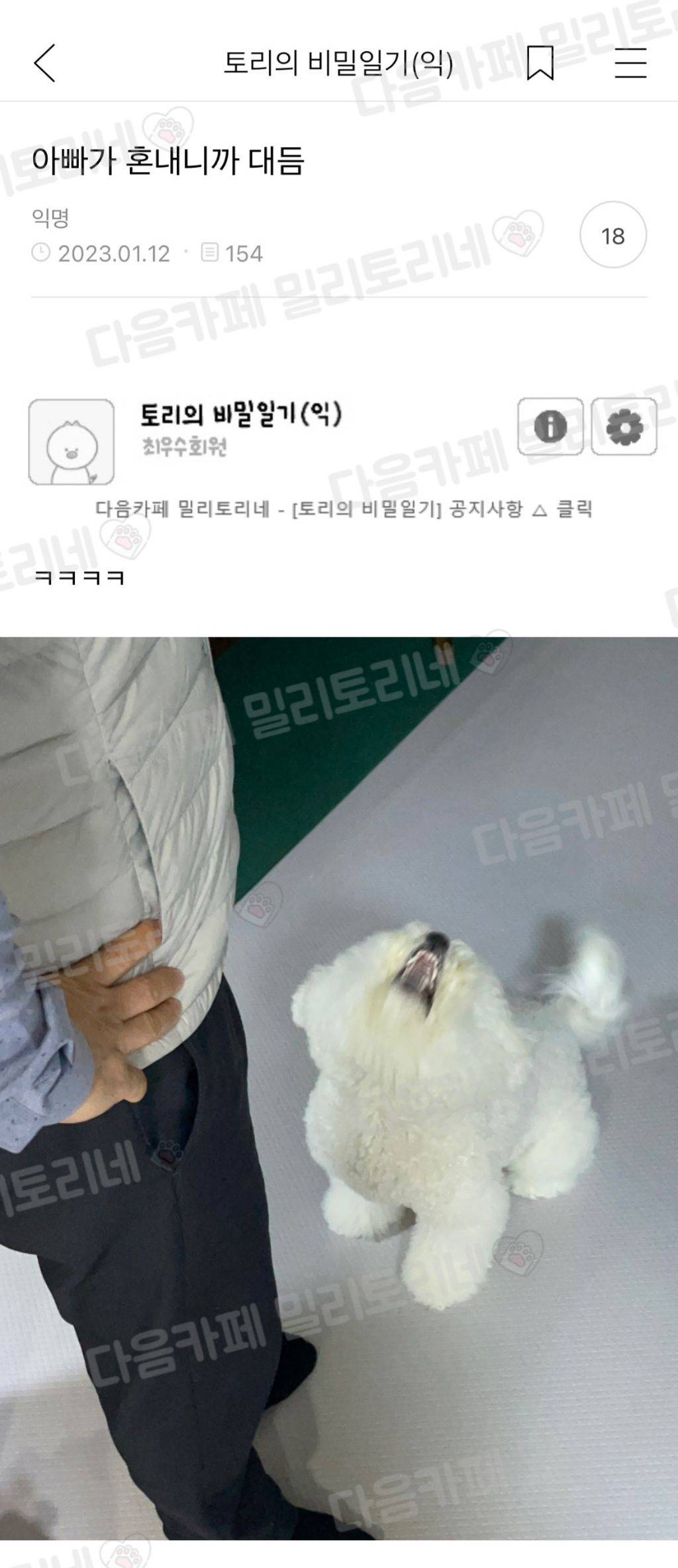 아빠가 혼내니까 대듬 | 인스티즈