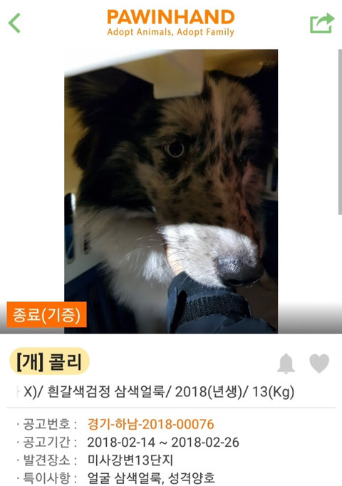 댕댕이 입양 전후.jpg | 인스티즈