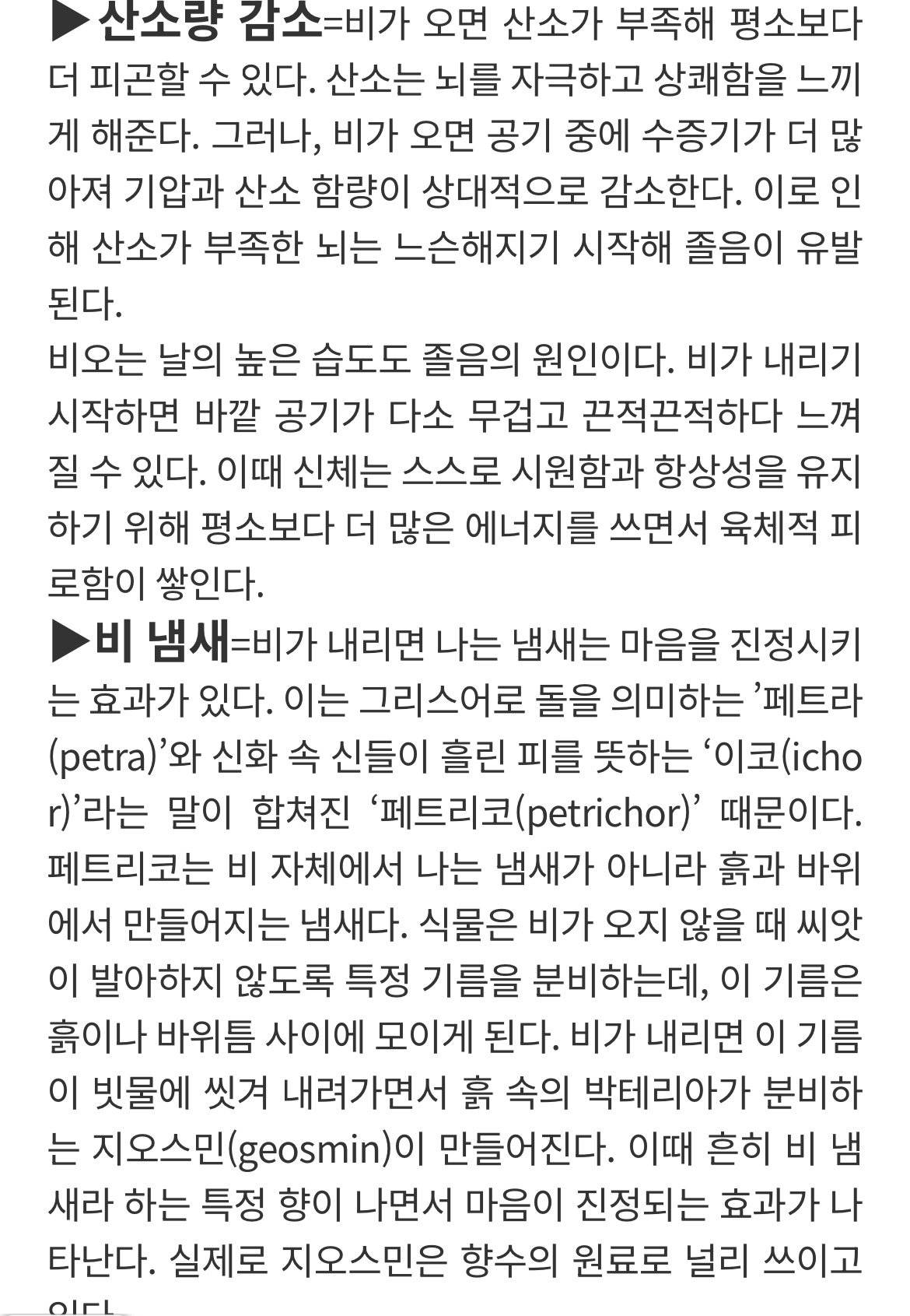 비 오는 날 유독 나른하고 졸린 이유 | 인스티즈