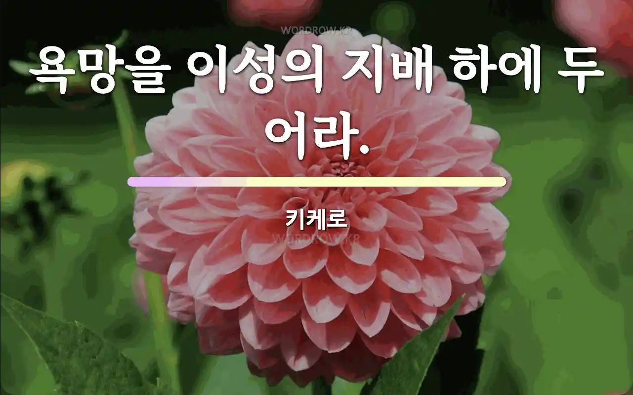 인생이 괴로워서 불교 철학 찍먹할 여시들 궁금하면 이 글을 클릭합니다 | 인스티즈