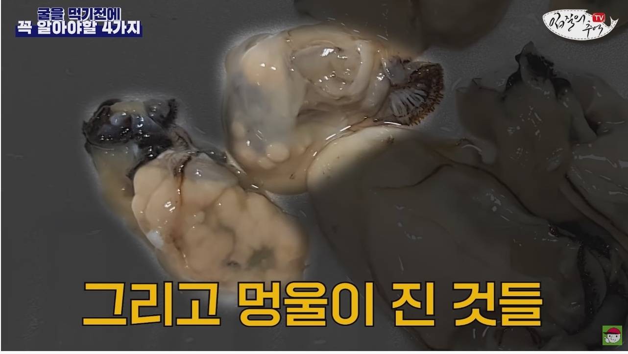 노로바이러스의 감염을 최소화 해서 굴을 먹는 방법 | 인스티즈