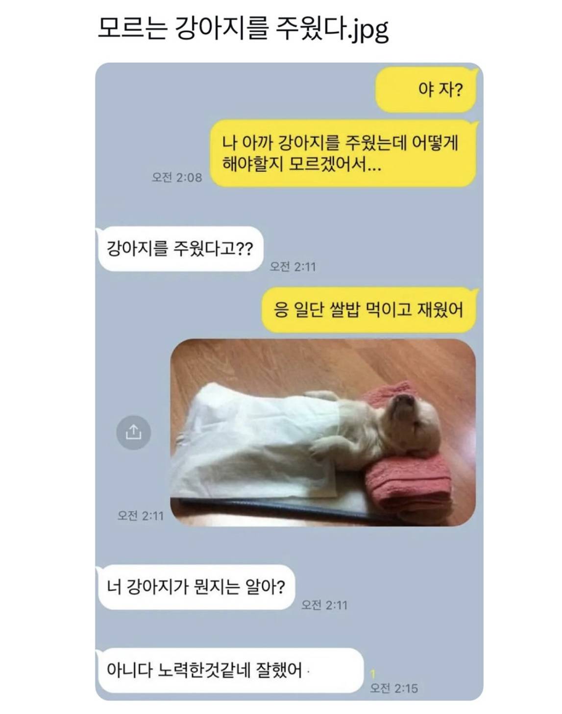 모르는 강아지를 주웠다 | 인스티즈