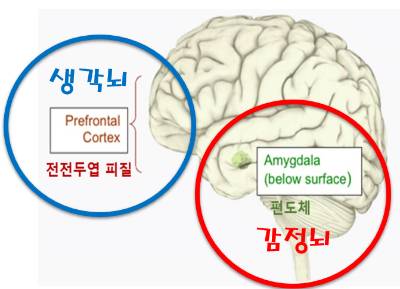 성인 ADHD를 자각하기 어려운 이유 | 인스티즈