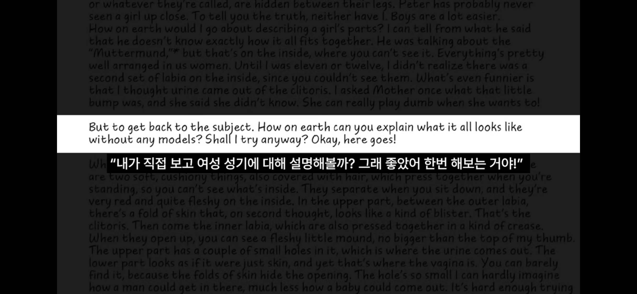 스압) 안네의 일기📝 우리가 절대 모르는 숨겨진 내용들 | 인스티즈