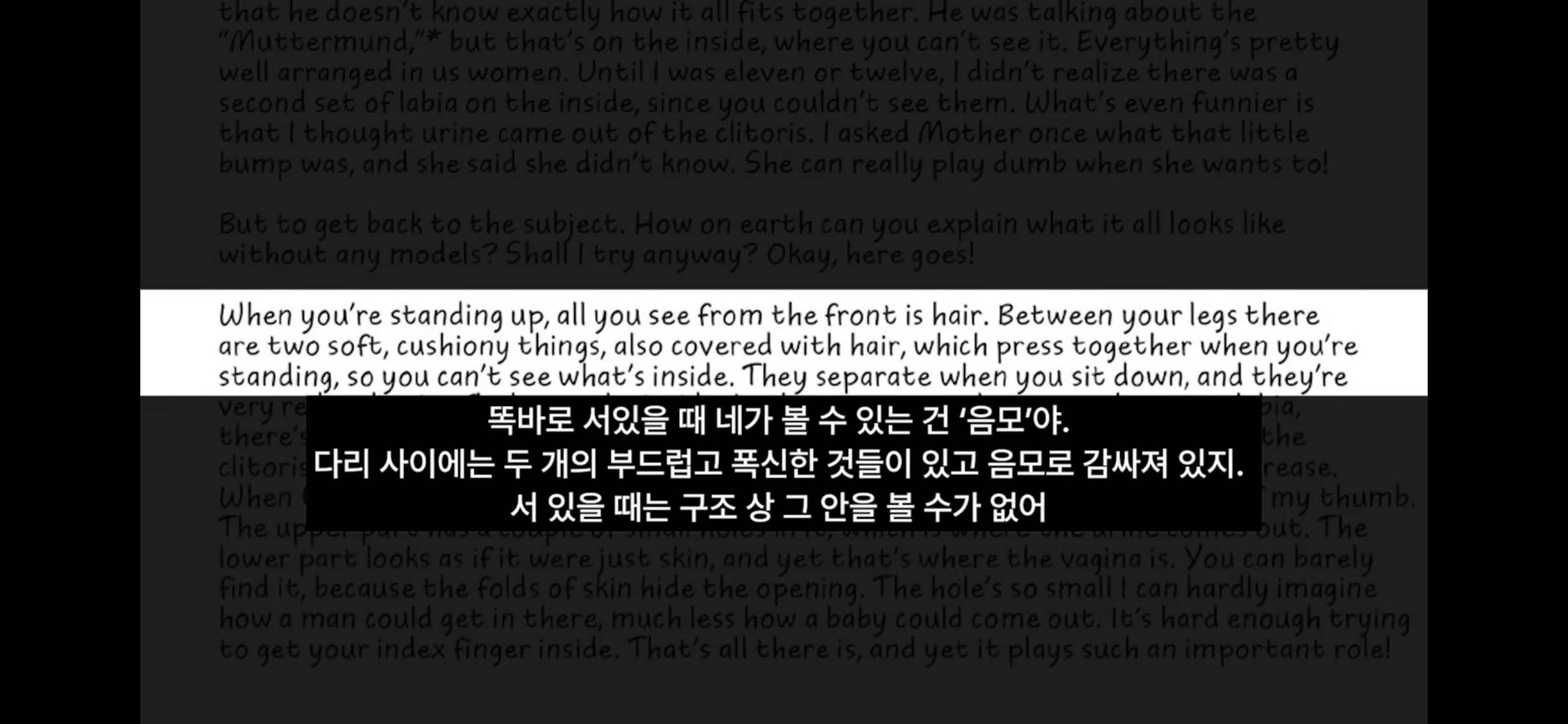 스압) 안네의 일기📝 우리가 절대 모르는 숨겨진 내용들 | 인스티즈