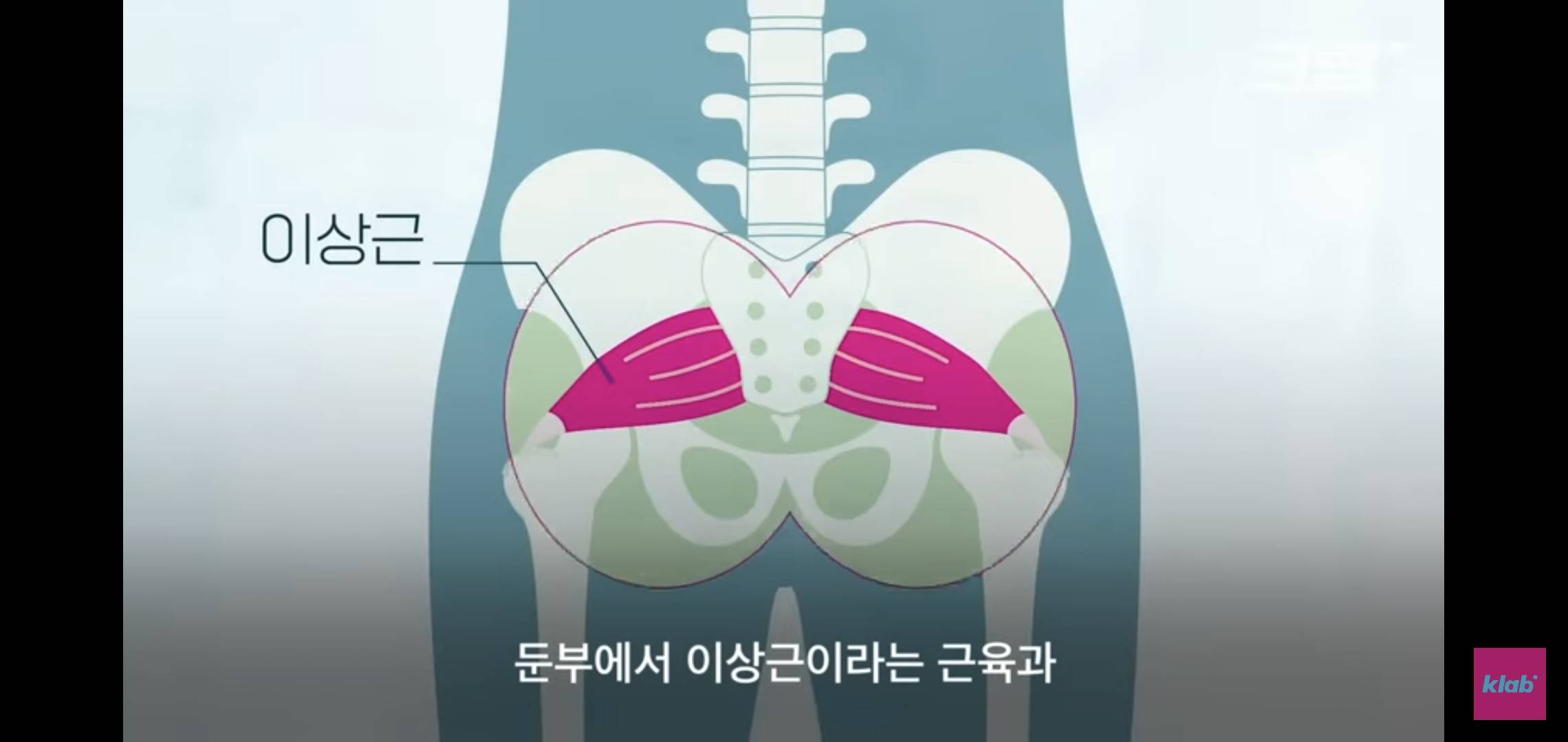 의자 위에서 양반다리가 편한 사람은 허리가 약한 것.jpg | 인스티즈