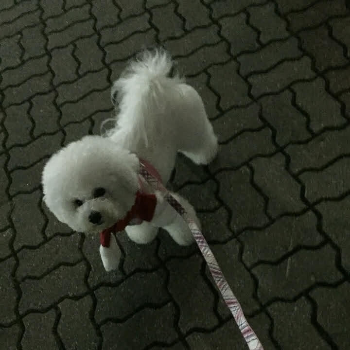 댓글 5000개 달렸던 "쌀밥을 넘 많이 해서 넘쳤어. ㅠㅠ" | 인스티즈