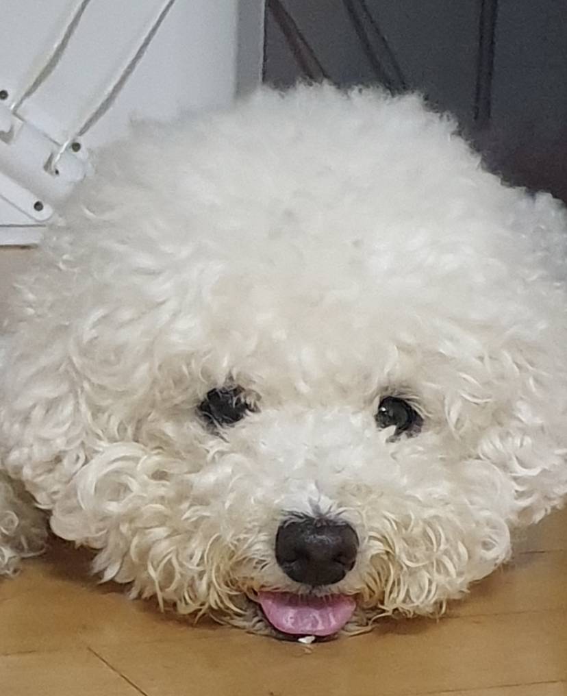댓글 5000개 달렸던 "쌀밥을 넘 많이 해서 넘쳤어. ㅠㅠ" | 인스티즈