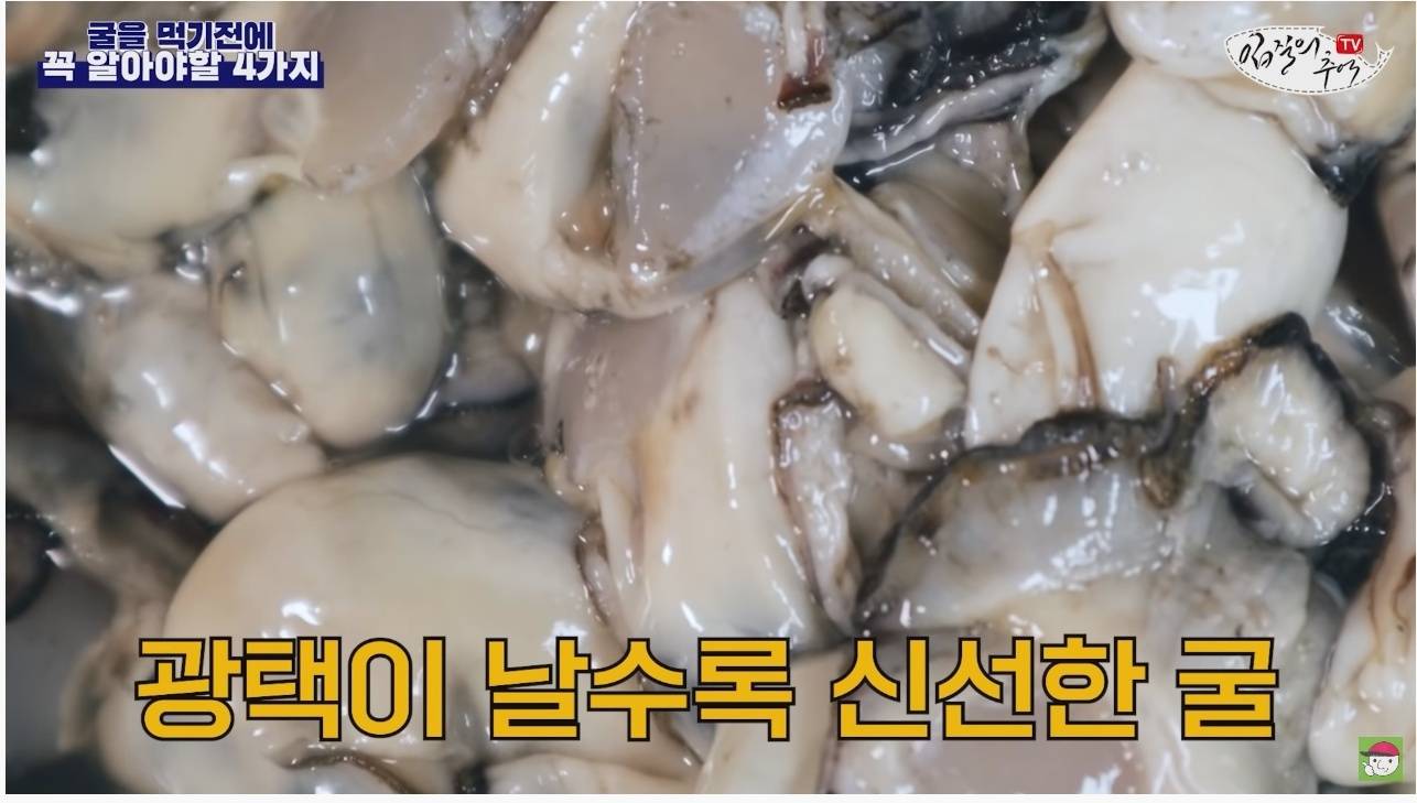 노로바이러스의 감염을 최소화 해서 굴을 먹는 방법 | 인스티즈