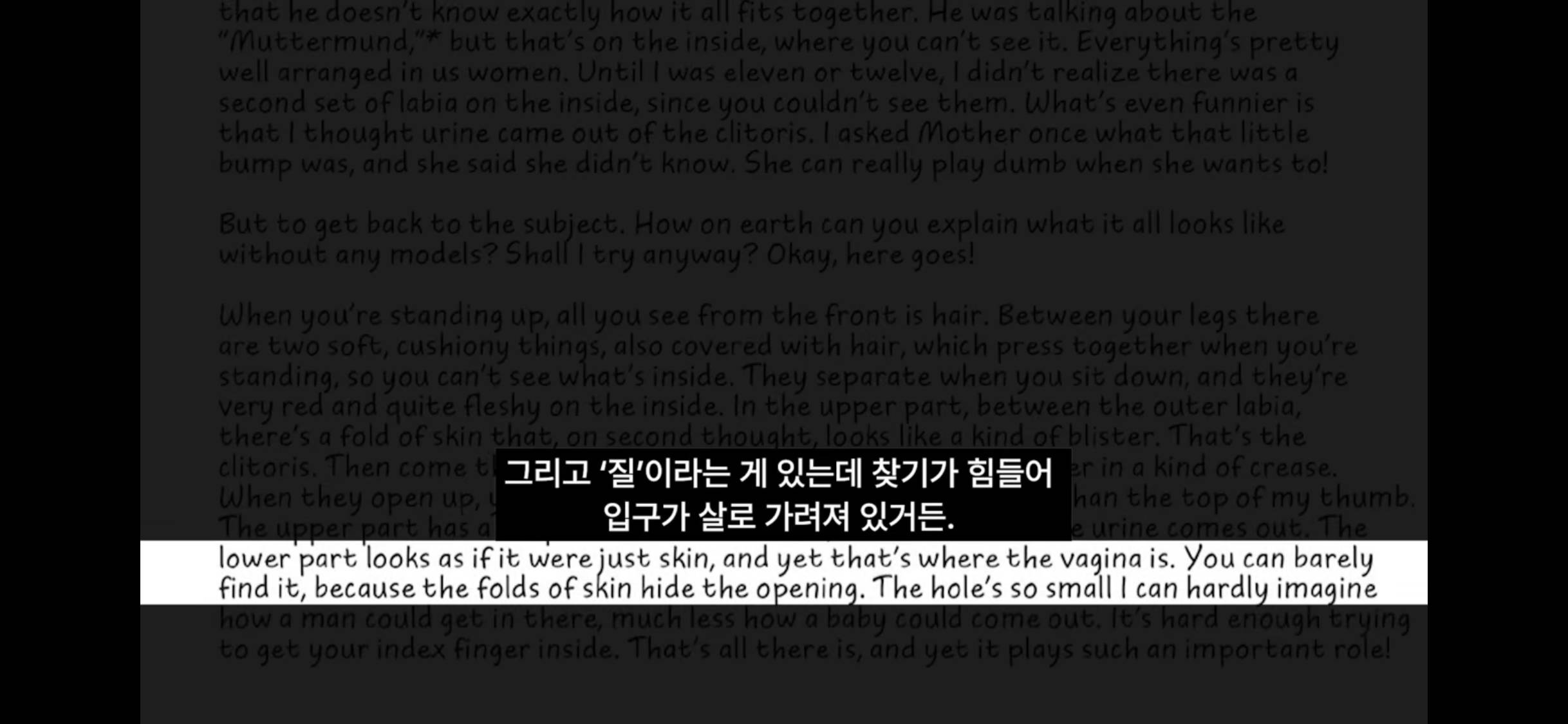 스압) 안네의 일기📝 우리가 절대 모르는 숨겨진 내용들 | 인스티즈