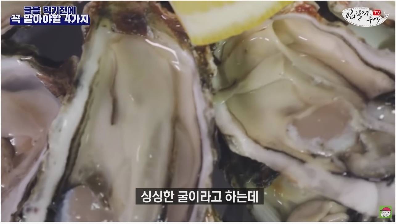 노로바이러스의 감염을 최소화 해서 굴을 먹는 방법 | 인스티즈