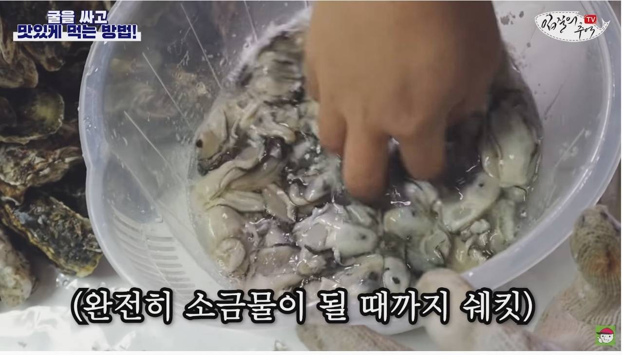 노로바이러스의 감염을 최소화 해서 굴을 먹는 방법 | 인스티즈