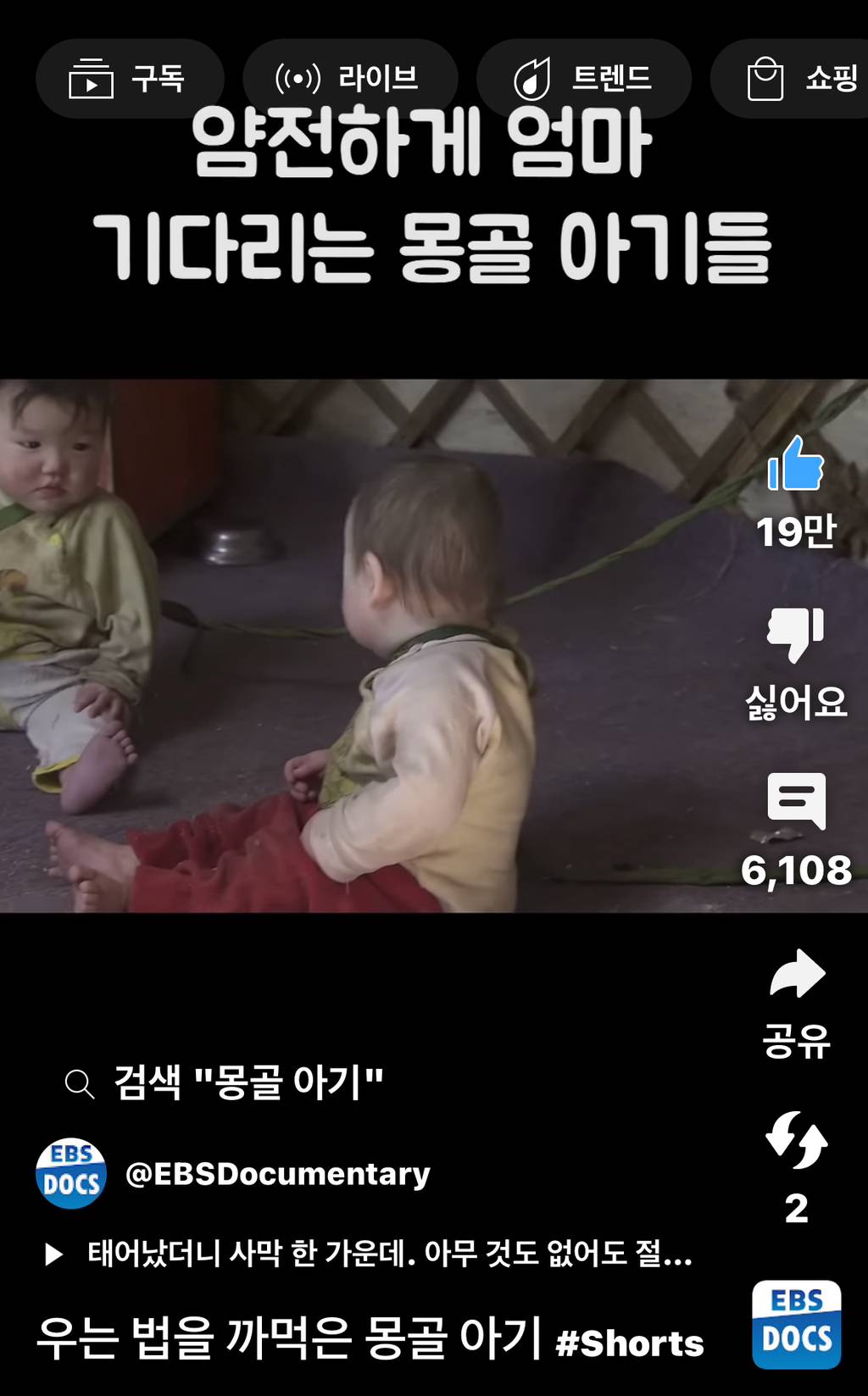몽골에선 아기를 묶어놓는다면서? 몽골인: 예???? | 인스티즈